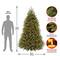 7.5ft. Pre-Lit PowerConnect™ Dunhill® Fir Tree Artificial Christmas Tree, Clear Lights